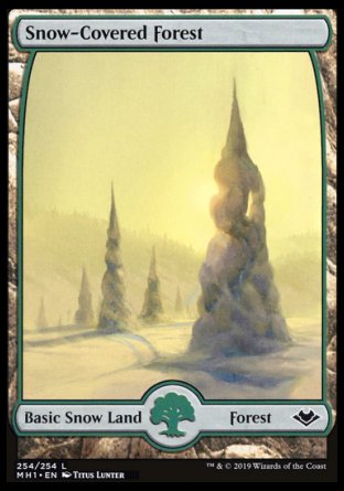 (254/254) Magic The Gathering Modern Horizons Single: Snow-Covered Forest Holo Land