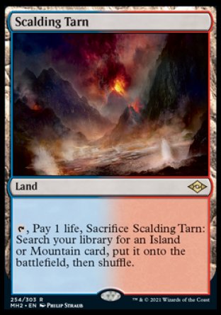 (254) Magic The Gathering Modern Horizons 2 Single: Scalding Tarn Holo Rare