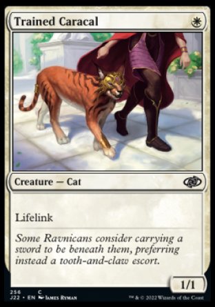 (256) Magic The Gathering Jumpstart 2022 Single: Trained Caracal  Common