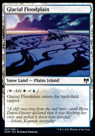 (257/285) Magic The Gathering Kaldheim Single: Glacial Floodplain  Common