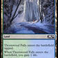 (258/280) Magic The Gathering Core 2020 Single: Thornwood Falls Holo Common