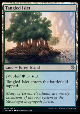 (258) Magic The Gathering Dominaria United Single: Tangled Islet Holo Common