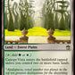(258) Magic The Gathering Universes Beyond: Doctor Who Single: Canopy Vista Holo Rare