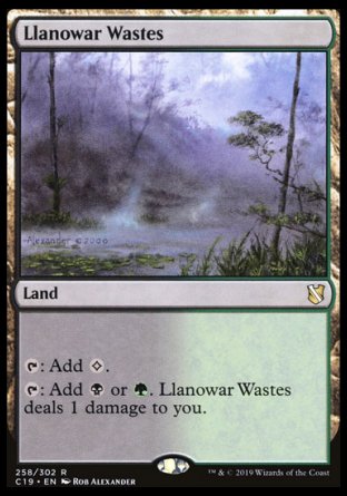 (258) Magic The Gathering Commander 2019 Single: Llanowar Wastes  Rare
