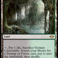 (260) Magic The Gathering Modern Horizons 2 Single: Verdant Catacombs  Rare
