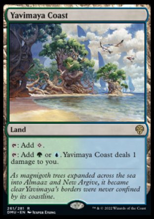 (261) Magic The Gathering Dominaria United Single: Yavimaya Coast  Rare