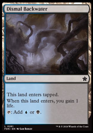 (261) Magic The Gathering Magic: The Gathering Foundations Single: Dismal Backwater  Common