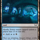 (263) Magic The Gathering Duskmourn: House of Horror Single: Murky Sewer  Common