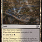 (263) Magic The Gathering Aetherdrift Single: Scoured Barrens Holo Common