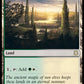 (264) Magic The Gathering Commander: Adventures in the Forgotten Realms Single: Sungrass Prairie  Rare