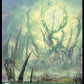 (266) Magic The Gathering Phyrexia: All Will Be One Single: Forest (V.1)  Land