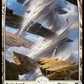 (267/280) Magic The Gathering Zendikar Rising Single: Plains (V.2)  Land