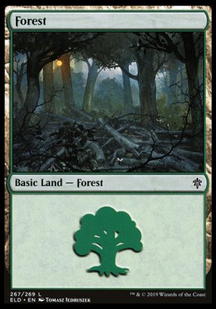 (267/269) Magic The Gathering Throne of Eldraine Single: Forest (V.2) Holo Land
