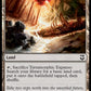 (267) Magic The Gathering Commander: Adventures in the Forgotten Realms Single: Terramorphic Expanse  Common
