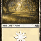 (268) Magic The Gathering Wilds of Eldraine Single: Plains (V.3) Holo Land