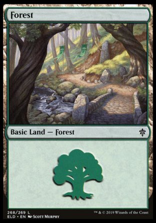 (268/269) Magic The Gathering Throne of Eldraine Single: Forest (V.3) Holo Land