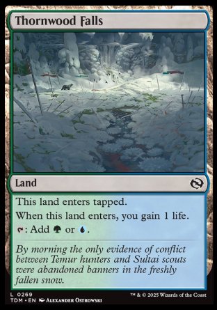 (269) Magic The Gathering Tarkir: Dragonstorm Single: Thornwood Falls  Common