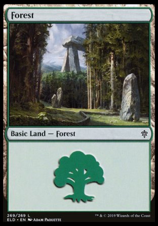 (269/269) Magic The Gathering Throne of Eldraine Single: Forest (V.4)  Land