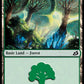 (272/274) Magic The Gathering Ikoria: Lair of Behemoths Single: Forest (V.1)  Land