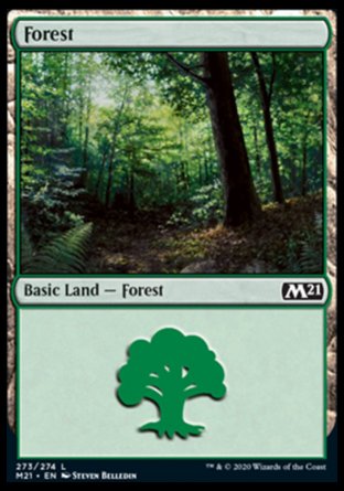 (273) Magic The Gathering Core 2021 Single: Forest (V.2) Holo Land
