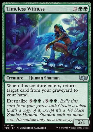 (274) Magic The Gathering Commander: Tarkir: Dragonstorm Single: Timeless Witness  Uncommon
