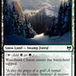 (274/285) Magic The Gathering Kaldheim Single: Woodland Chasm  Common