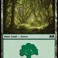 (275) Magic The Gathering Wilds of Eldraine Single: Forest (V.2)  Land