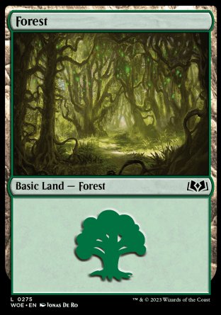 (275) Magic The Gathering Wilds of Eldraine Single: Forest (V.2)  Land