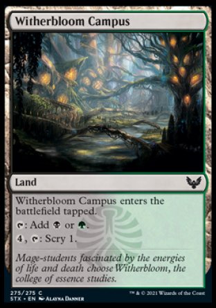(275) Magic The Gathering Strixhaven: School of Mages Single: Witherbloom Campus  Common