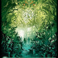 (276) Magic The Gathering Duskmourn: House of Horror Single: Forest Holo Land