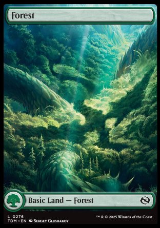 (276) Magic The Gathering Tarkir: Dragonstorm Single: Forest (V.1)  Land