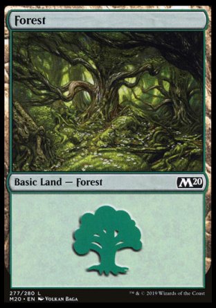 (277/280) Magic The Gathering Core 2020 Single: Forest (V.1) Holo Land
