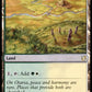 (277) Magic The Gathering Commander 2019 Single: Sungrass Prairie  Rare