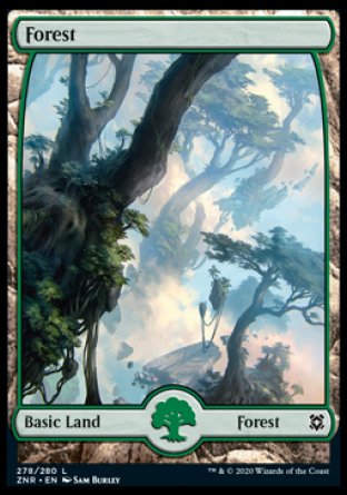 (278/280) Magic The Gathering Zendikar Rising Single: Forest (V.1) Holo Land