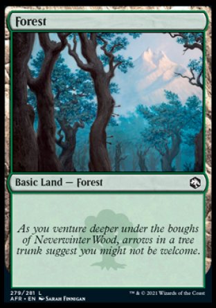 (279) Magic The Gathering Adventures in the Forgotten Realms Single: Forest (V.2)  Land