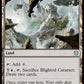 (279) Magic The Gathering Commander: Strixhaven Single: Blighted Cataract  Uncommon
