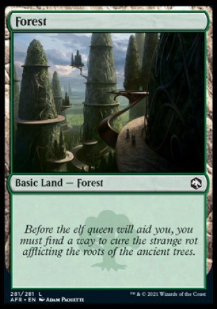 (281) Magic The Gathering Adventures in the Forgotten Realms Single: Forest (V.4)  Land