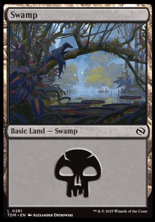 (281) Magic The Gathering Tarkir: Dragonstorm Single: Swamp (V.2)  Land