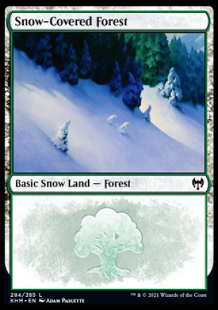 (284/285) Magic The Gathering Kaldheim Single: Snow-Covered Forest (V.1)  Land