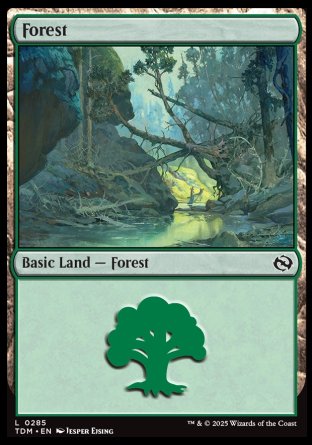 (285) Magic The Gathering Tarkir: Dragonstorm Single: Forest (V.2)  Land