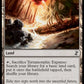 (285/289) Magic The Gathering Time Spiral Remastered Single: Terramorphic Expanse Holo Common