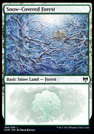 (285/285) Magic The Gathering Kaldheim Single: Snow-Covered Forest (V.2)  Land