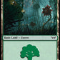 (285) Magic The Gathering Duskmourn: House of Horror Single: Forest (V.1)  Land