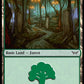 (286) Magic The Gathering Duskmourn: House of Horror Single: Forest (V.2)  Land