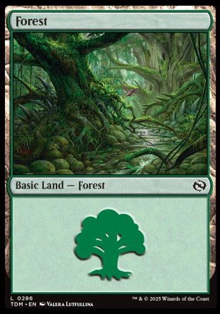 (286) Magic The Gathering Tarkir: Dragonstorm Single: Forest (V.3) Holo Land