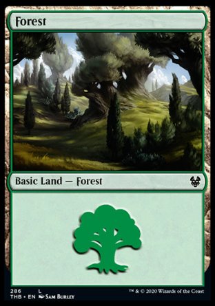 (286) Magic The Gathering Theros Beyond Death: Extras Single: Forest (V.1)  Land