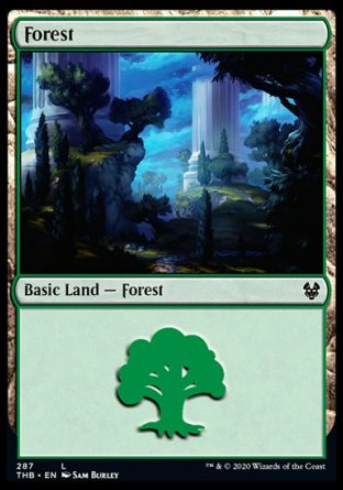 (287) Magic The Gathering Theros Beyond Death: Extras Single: Forest (V.2) Holo Land