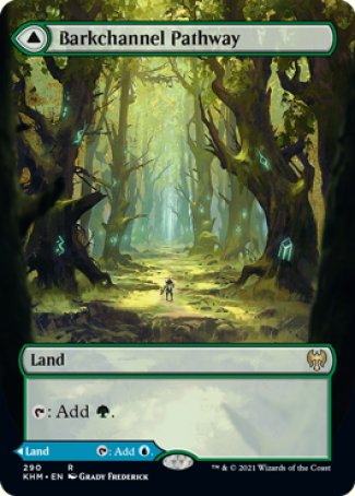 (290) Magic The Gathering Kaldheim: Extras Single: Barkchannel Pathway // Tidechannel Pathway  Rare