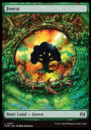 (291) Magic The Gathering Tarkir: Dragonstorm: Extras Single: Forest Holo Land