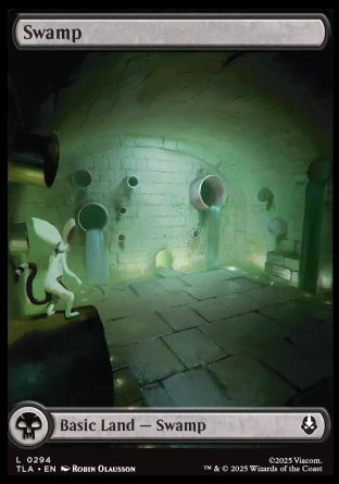 (294) Magic The Gathering Magic: The Gathering | Avatar: The Last Airbender Single: Swamp (V.3)  Land